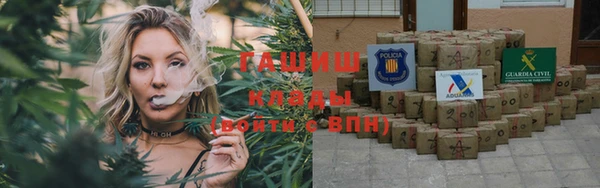 индика Балахна