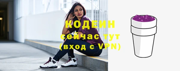индика Балахна