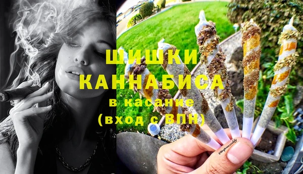 ПСИЛОЦИБИНОВЫЕ ГРИБЫ Баксан