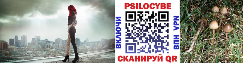 Галлюциногенные грибы ЛСД  где купить наркотик  Белозерск 