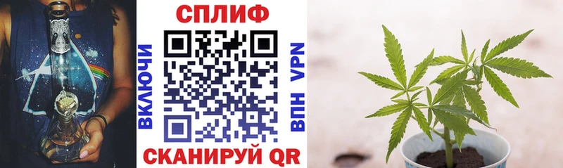 Бошки Шишки тримм  где можно купить наркотик  Белозерск 